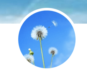 ココナラ 電話占い S レミナ