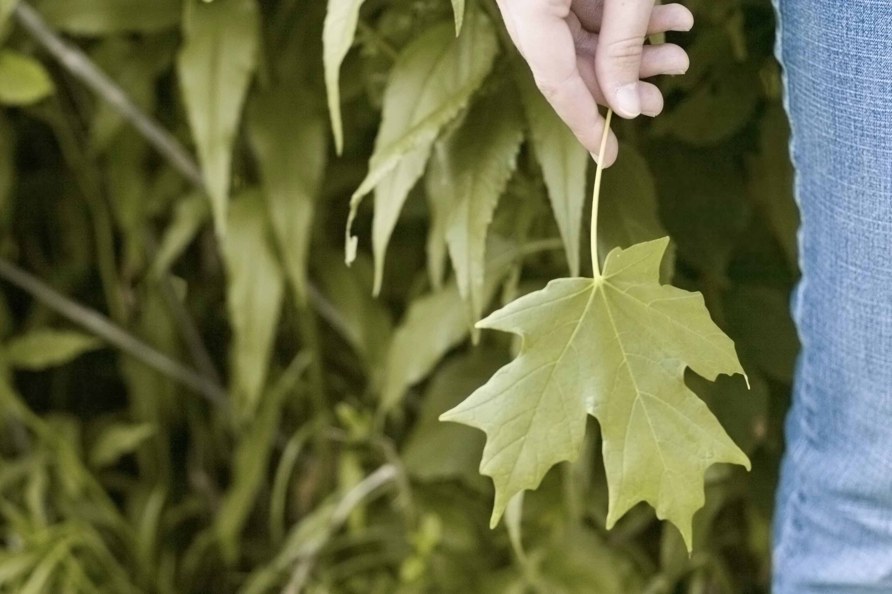 耳鳴り スピリチュアル